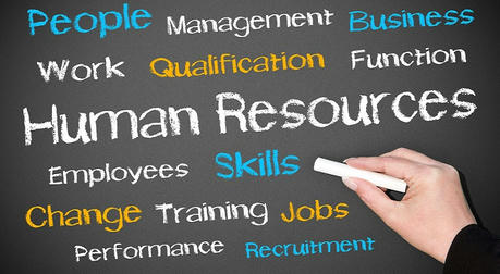 Human Resources Specialist: The Behind-the-Scenes Promoter of Enterprise Development
