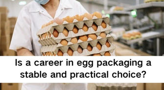 From Farm to Table: Exploring Careers in the Egg Packaging Industry